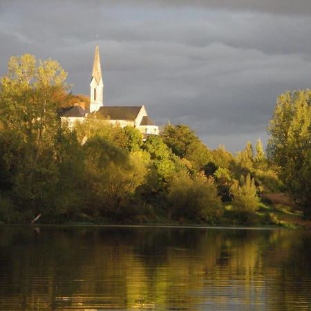 Maison De Bourg Paisible Parcay-sur-Vienne エクステリア 写真