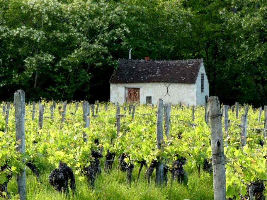Maison De Bourg Paisible Parcay-sur-Vienne エクステリア 写真