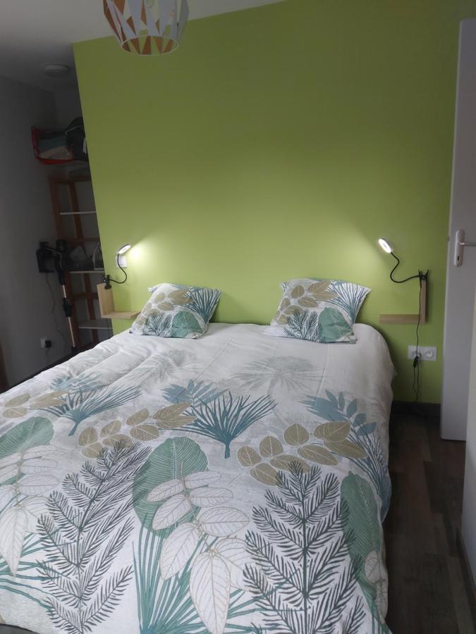 Maison De Bourg Paisible Parcay-sur-Vienne エクステリア 写真
